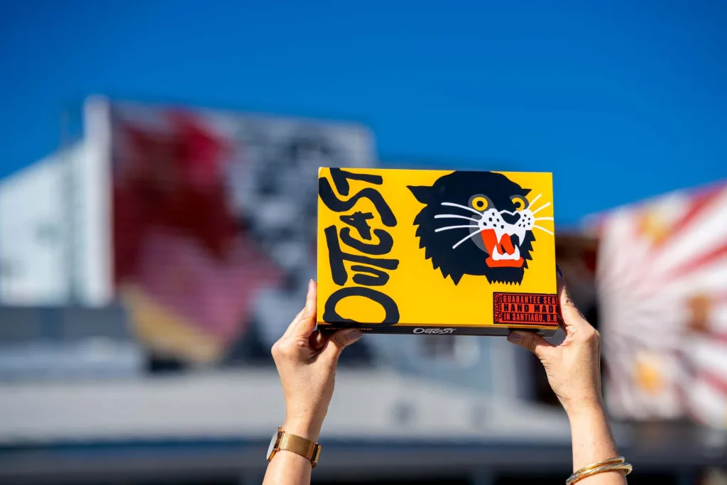 Best Beginner Cigars