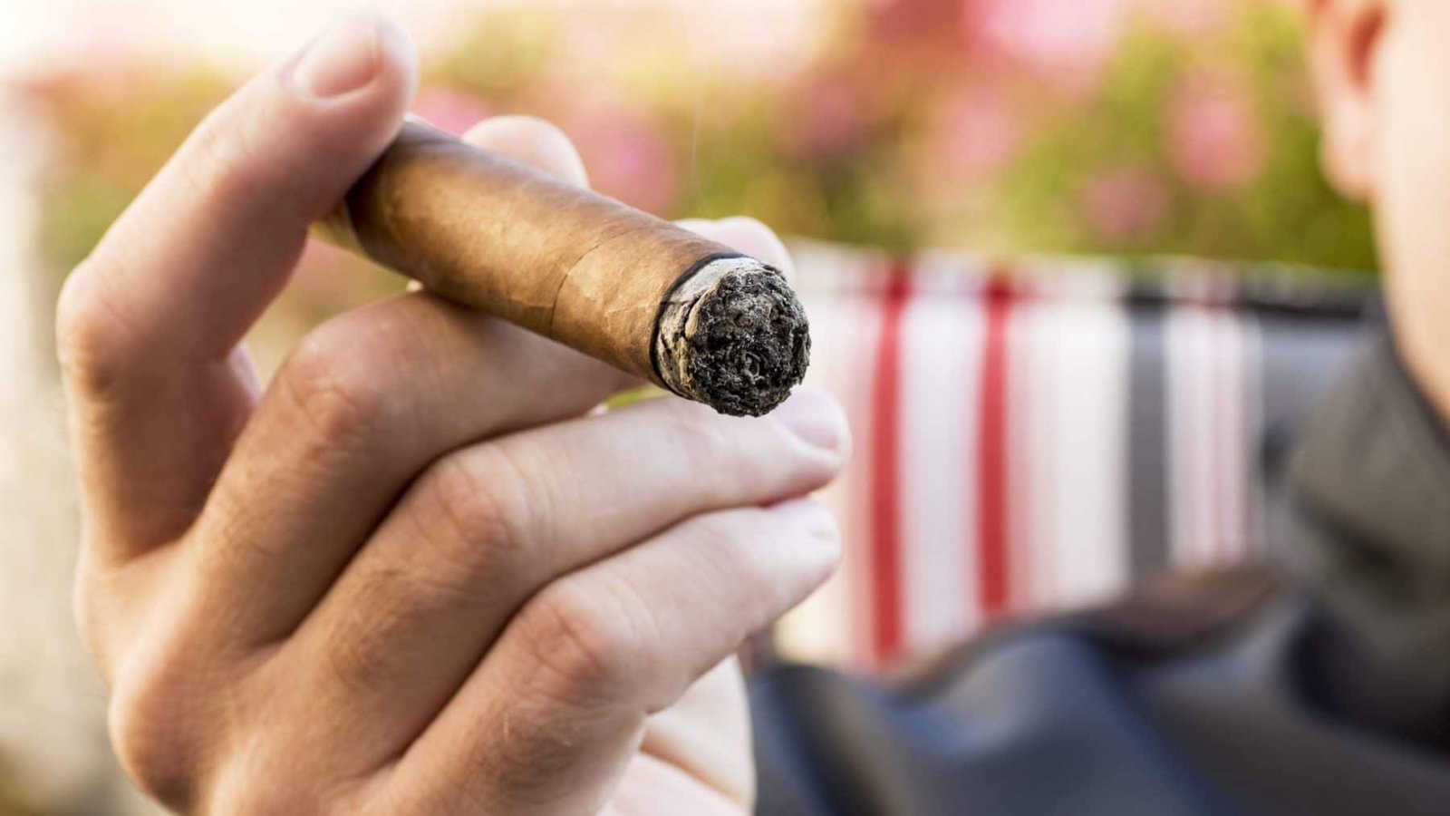 Good Cigars for Gifts